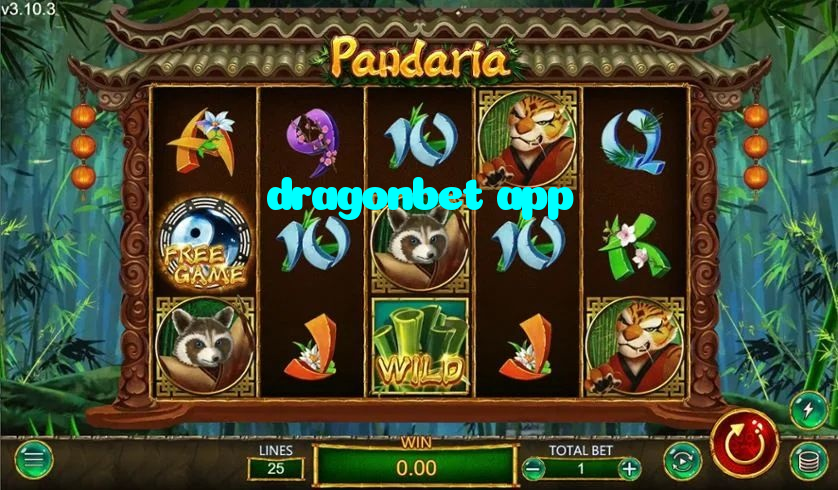 dragonbet app casino presented on mobile device in Pakistan with slots and live games